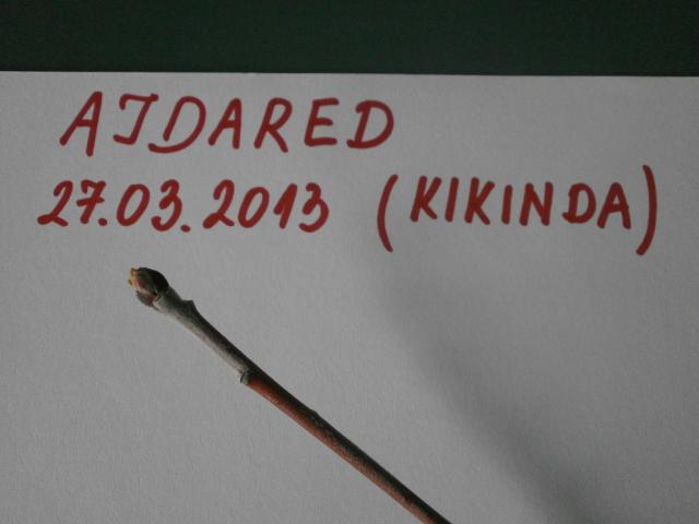 Ajdared 27.03.