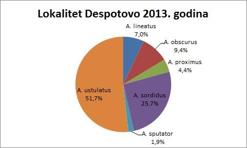 Despotovo 2013