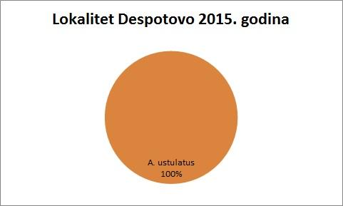 Despotovo 2015