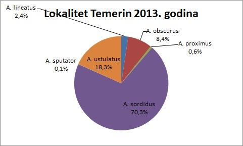 Temerin 2013