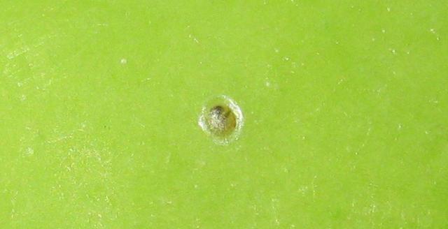Vizuelni pregled