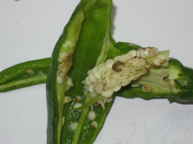 Laboratorijski pregled