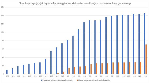 dinamika polaganja jaja i parazitiranja O. nubilalis